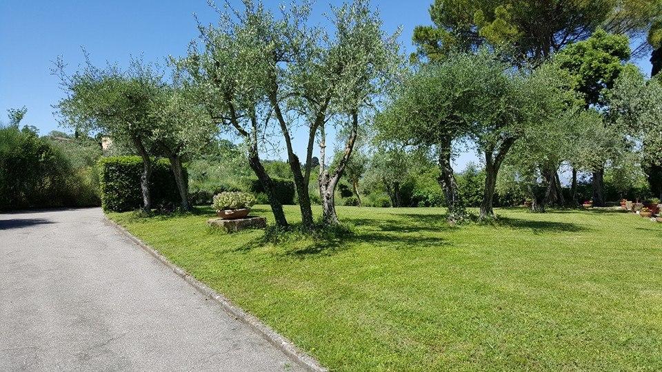 Landhuis Ulivello *