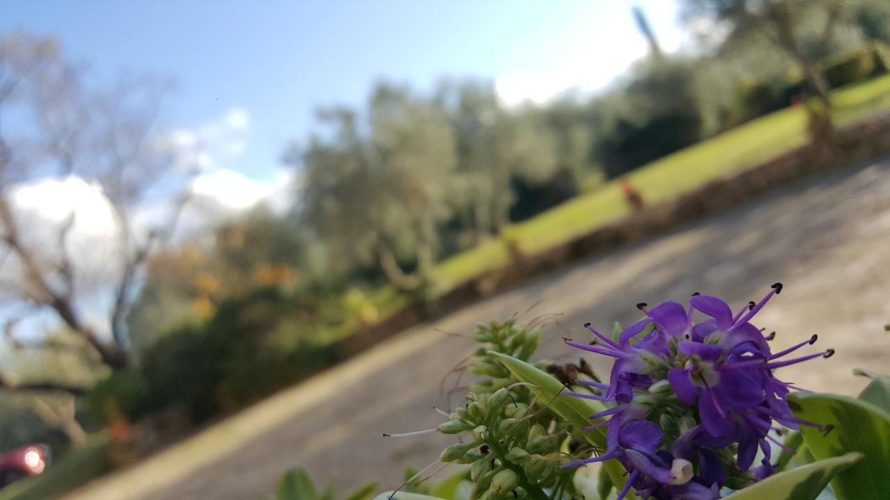 Landhuis Ulivello *