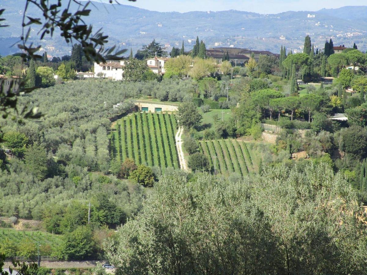 Ulivello Landhuis *